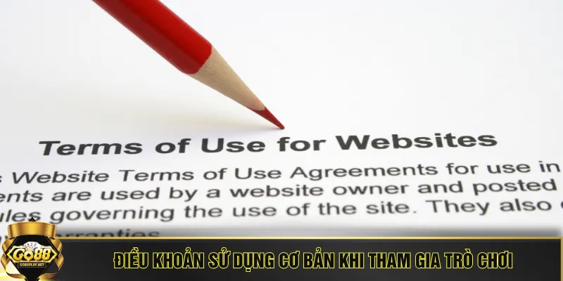 Điều khoản sử dụng cơ bản khi tham gia trò chơi