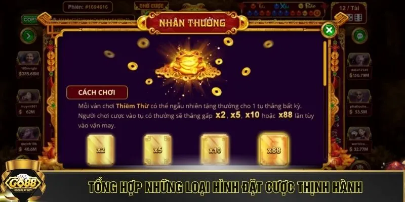 Tổng hợp những loại hình đặt cược thịnh hành
